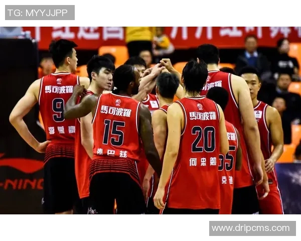 深圳马可波罗对阵辽宁队的精彩较量即将上演，谁能笑到最后引人期待