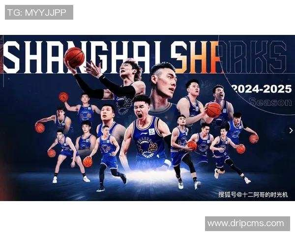 王哲林领衔中国篮球新篇章展现实力与风采的时代巨星之路