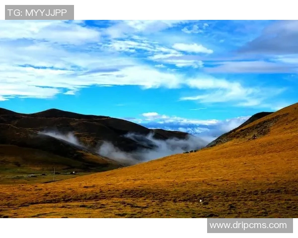 何思雨的成长之路与梦想追寻：从平凡到卓越的心灵旅程